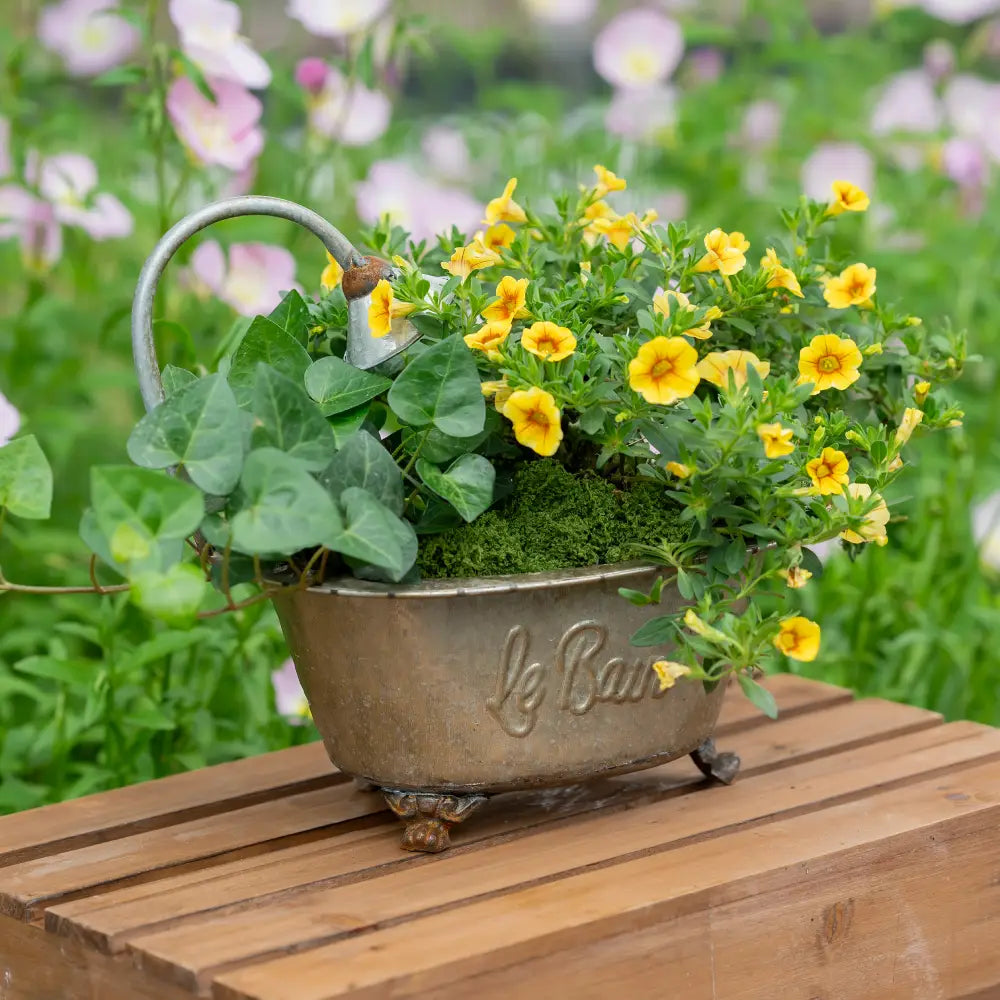 Composition florale colorée dans un pot de fleur pour intérieur rétro, placé sur une table en bois au jardin.