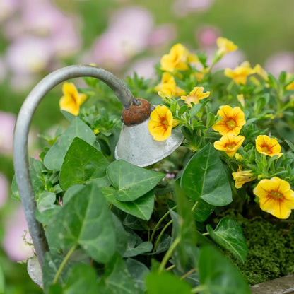 Gros plan sur la douchette du pot de fleur pour intérieur, entourée de feuillage vert et de petites fleurs éclatantes.