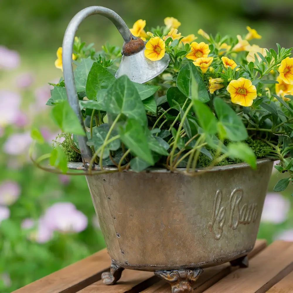 Pot de fleur pour intérieur original avec pieds en fonte, parfait pour une décoration vintage et végétale en intérieur.