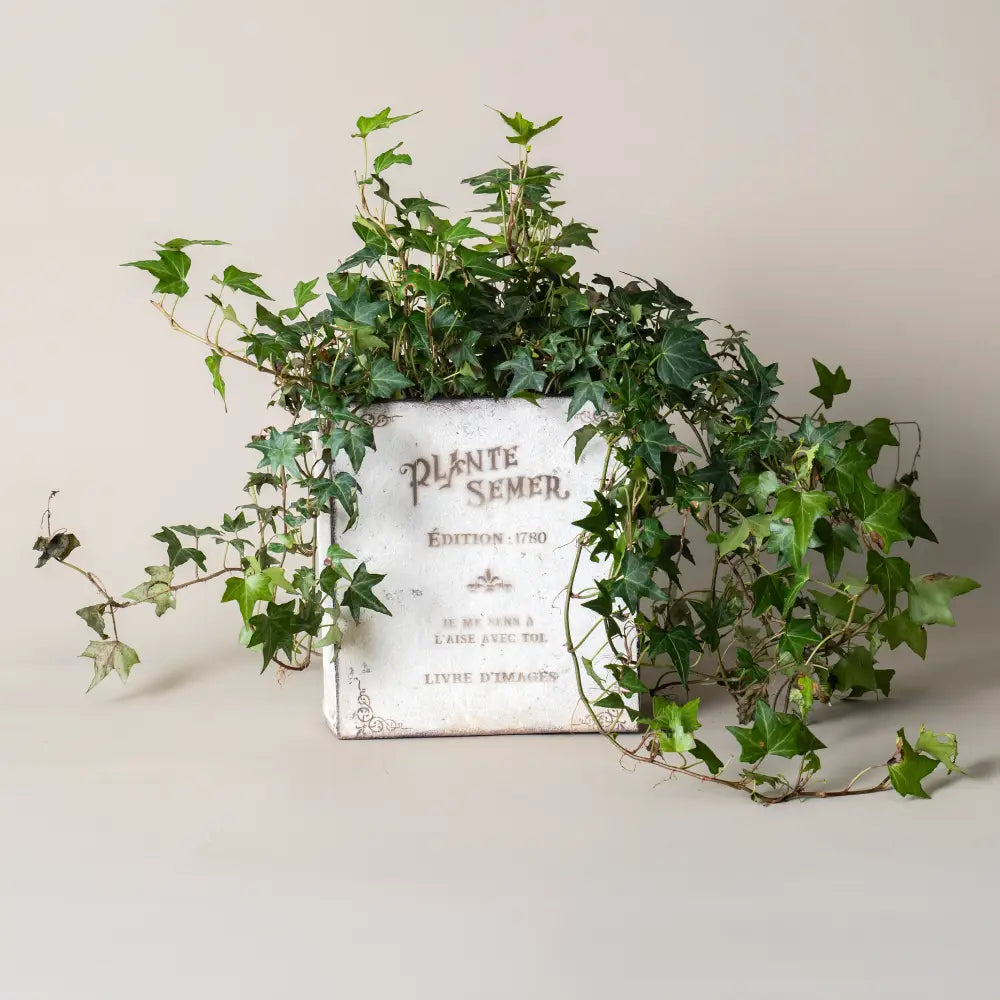 pot de fleurs blanc en métal vieilli style livre ancien