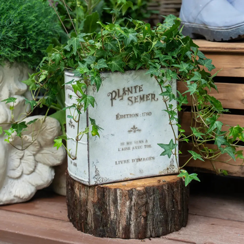 Jardinière originale pot de fleurs blanc pour plantes vertes