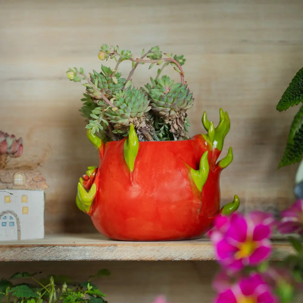 Pot de fleur intérieur design exotique pour salon moderne