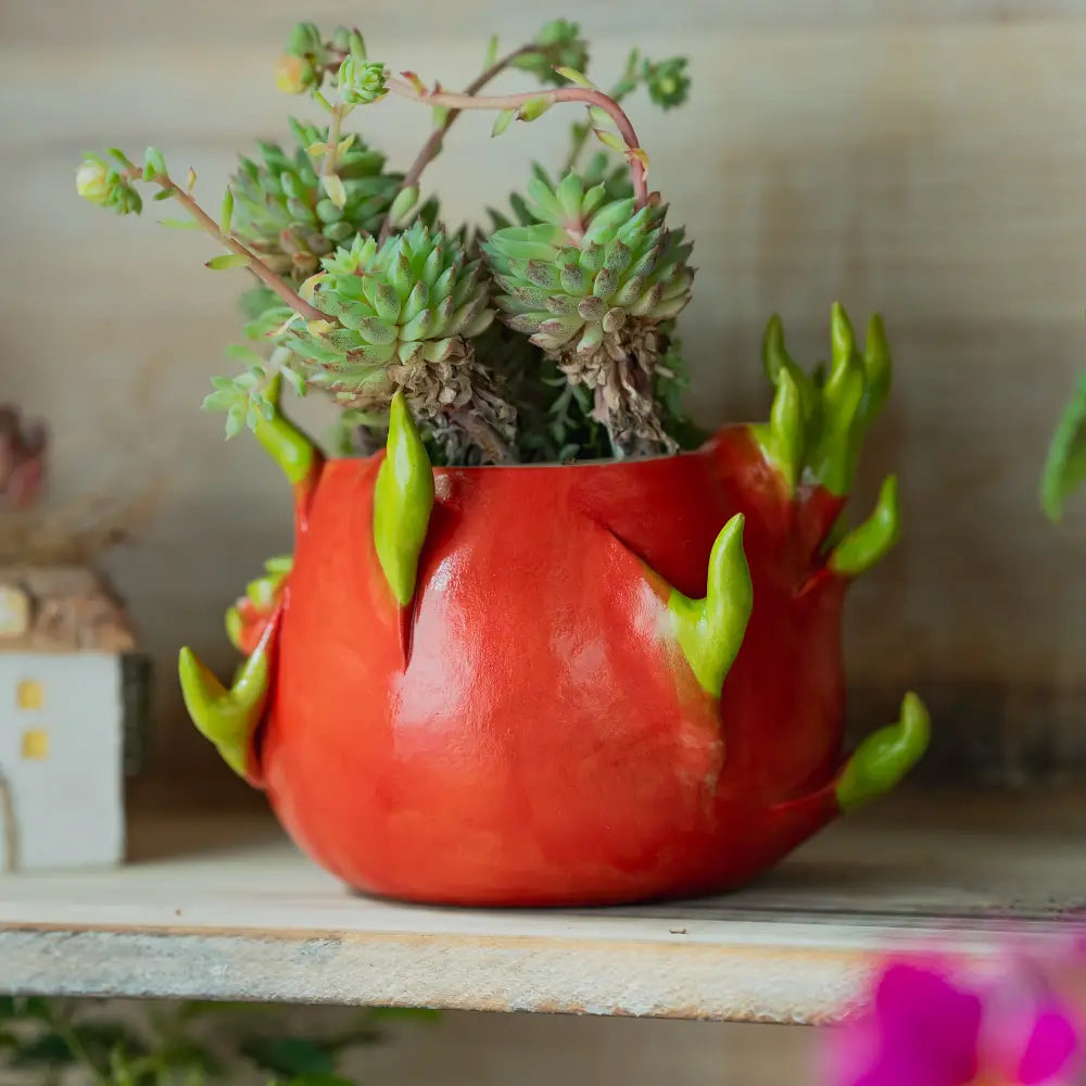 Jardinière pot de fleur intérieur inspirée du fruit du dragon