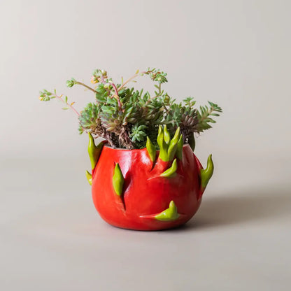 Pot de fleur intérieur Pitaya en céramique rouge vif artisanal