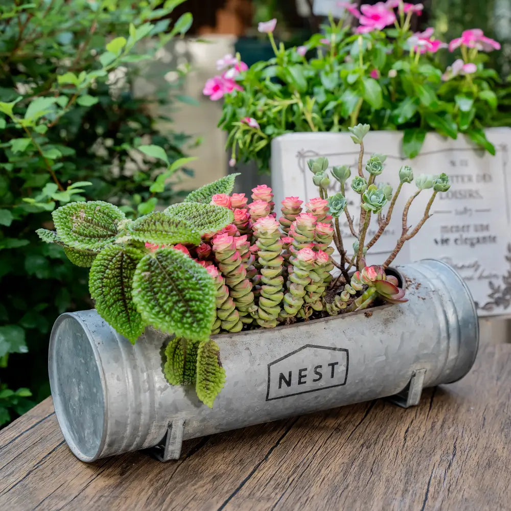 pot de fleurs moderne rectangulaire style industriel