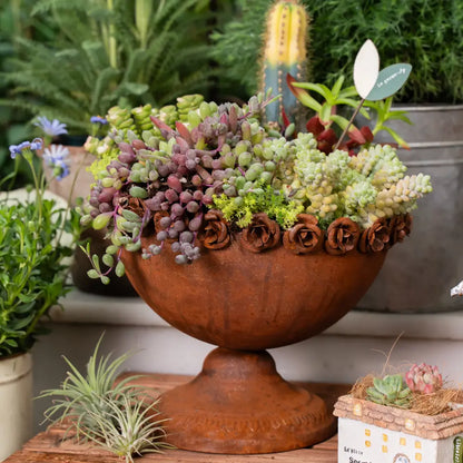 Pots de fleurs originaux en métal vieilli avec plantes succulentes dans un style rustique.