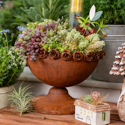 Pots de fleurs originaux en métal vieilli avec des plantes succulentes dans une coupe rustique.